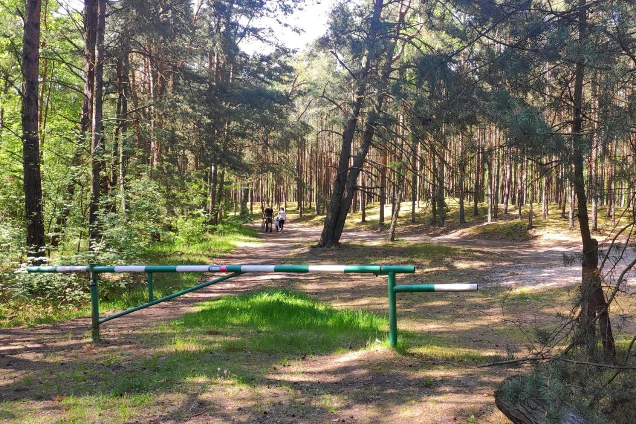Camp Bursztynowy Las 格但斯克 外观 照片