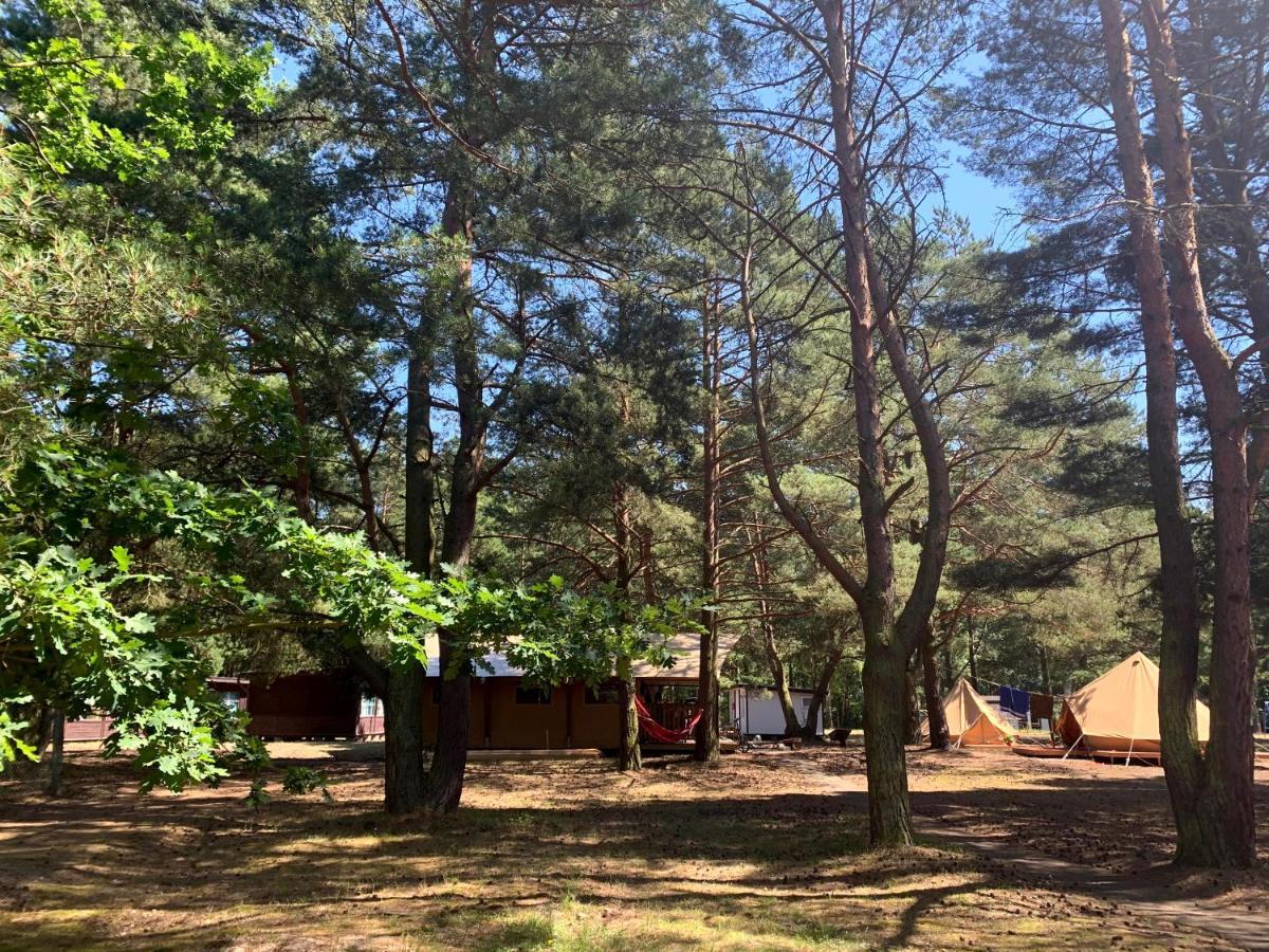 Camp Bursztynowy Las 格但斯克 外观 照片