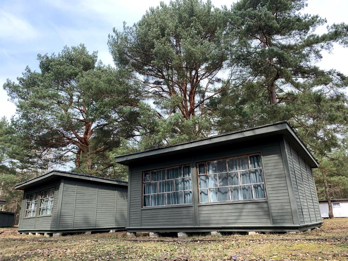 Camp Bursztynowy Las 格但斯克 外观 照片