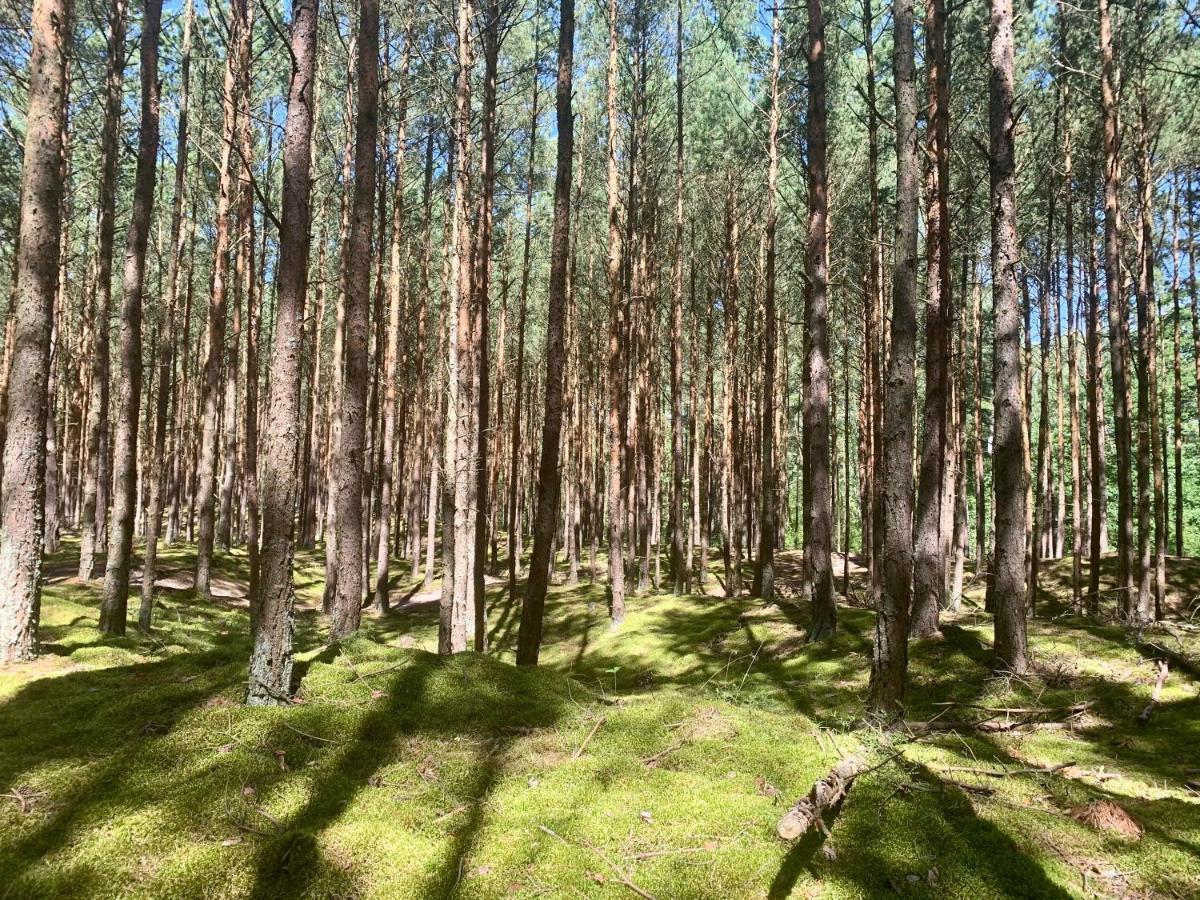 Camp Bursztynowy Las 格但斯克 外观 照片