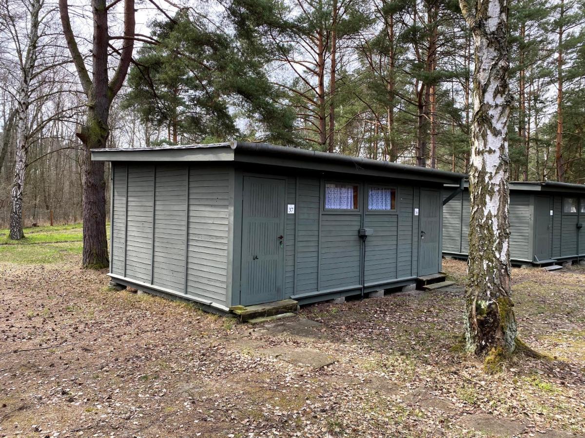 Camp Bursztynowy Las 格但斯克 外观 照片